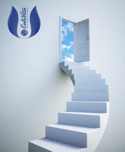 CaliVita-Succes