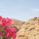 israel 676