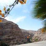 israel 716