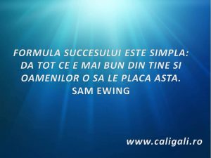 Succes3